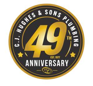 49th Anniversary seal
